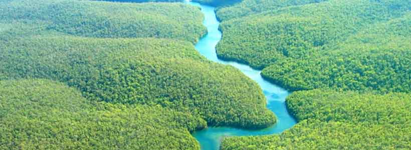 amazonian-rainforest