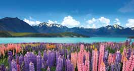 Best time Visit New Zealand