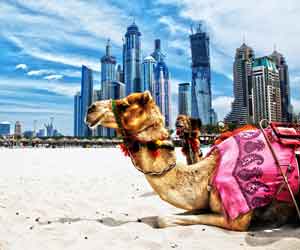 Holidays in Dubai (4N/5D) 