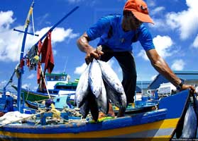 Male Fish Market