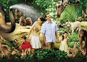 singapore-zoo-tour